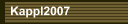 Kappl2007